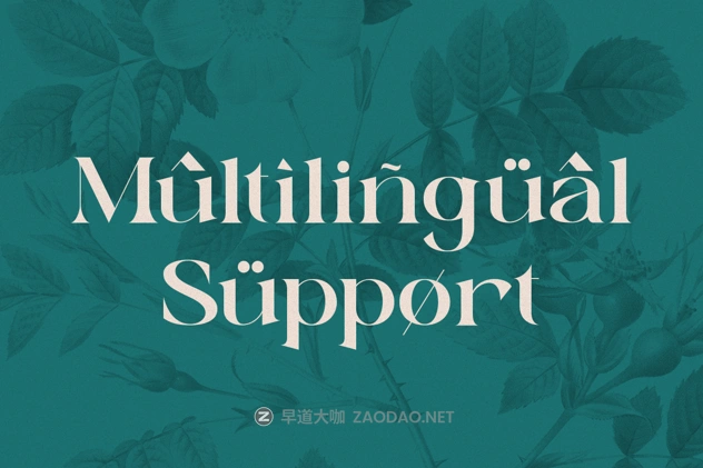 20241217ax63z 20241217ax63z