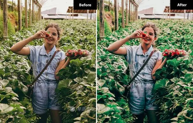 20241217ebfy7 20241217ebfy7