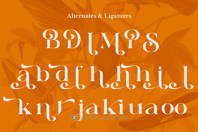 20241217qpu1v 20241217qpu1v