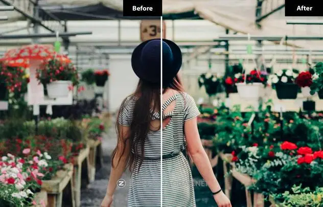 20241217tigbu 20241217tigbu