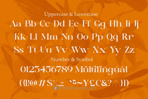 20241217xuhww 20241217xuhww