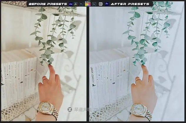 20241218w9z12 20241218w9z12