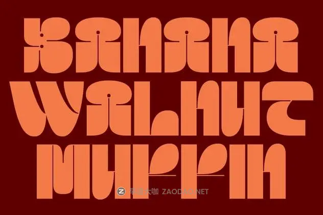 202412229u6o2 202412229u6o2