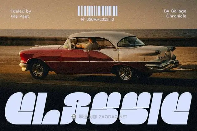 20241222muls8 20241222muls8