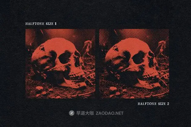 20241224xcpmv 20241224xcpmv