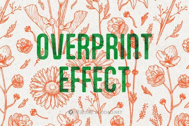 20241226aliml 20241226aliml