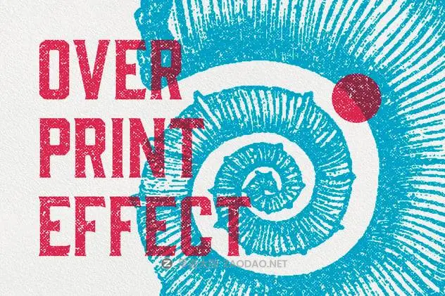 20241226d29wy 20241226d29wy