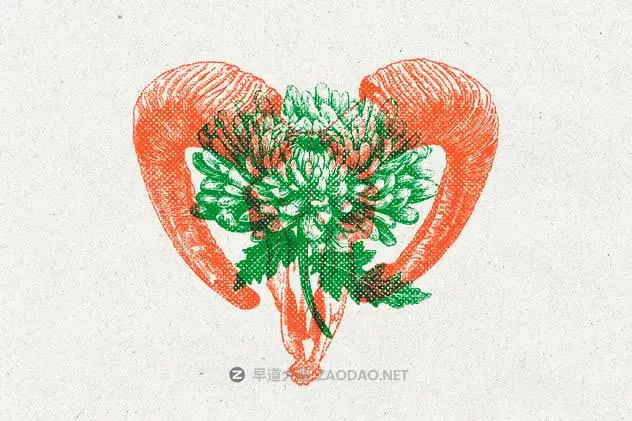 20241226mr56g 20241226mr56g