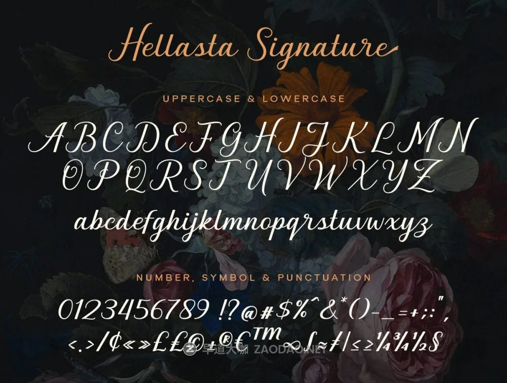 复古时尚杂志邀请函徽标设计手写英文字体安装包 Graceful Nostagia Script Font插图4 复古时尚杂志邀请函徽标设计手写英文字体安装包 Graceful Nostagia Script Font插图4