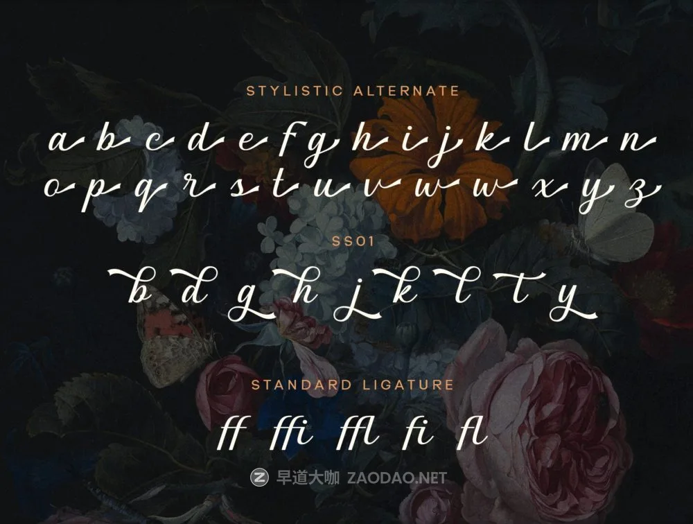 复古时尚杂志邀请函徽标设计手写英文字体安装包 Graceful Nostagia Script Font插图5 复古时尚杂志邀请函徽标设计手写英文字体安装包 Graceful Nostagia Script Font插图5