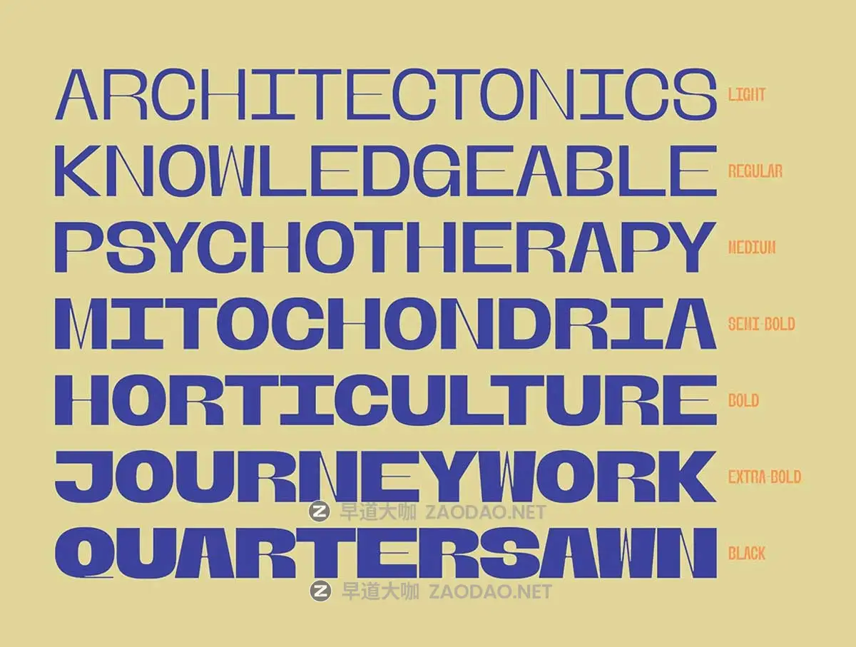 现代实验性徽标Logo标题设计时尚前卫无衬PSAI线大写英文字体安装包 Banigar Font插图8 现代实验性徽标Logo标题设计时尚前卫无衬PSAI线大写英文字体安装包 Banigar Font插图8