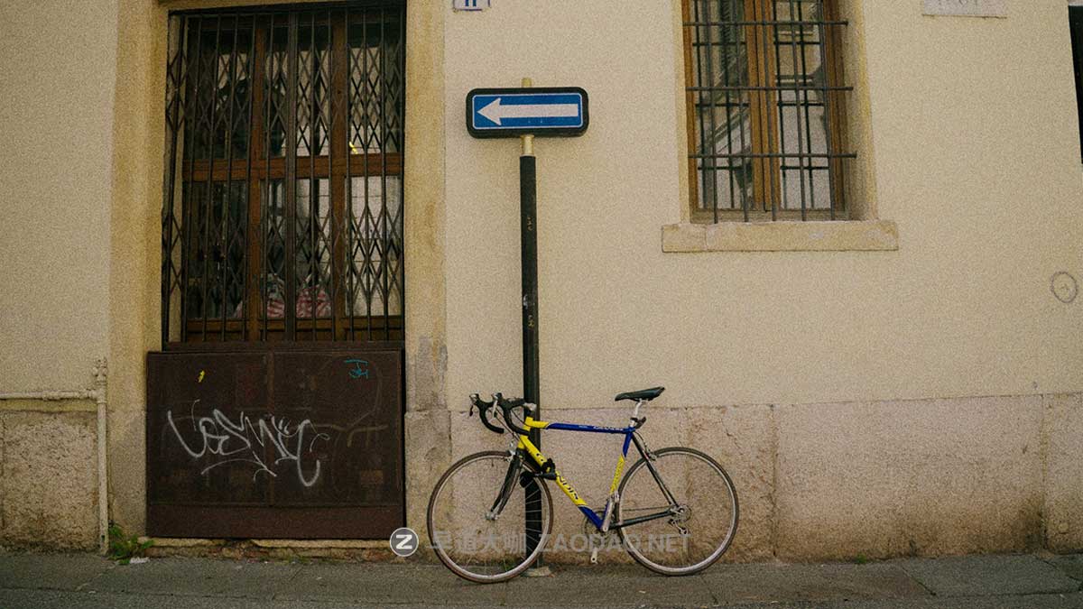 电影美学胶片颗粒模拟LOG/Rec709色彩还原调色LUT预设包 DAYLIGHT LUT PACK插图2