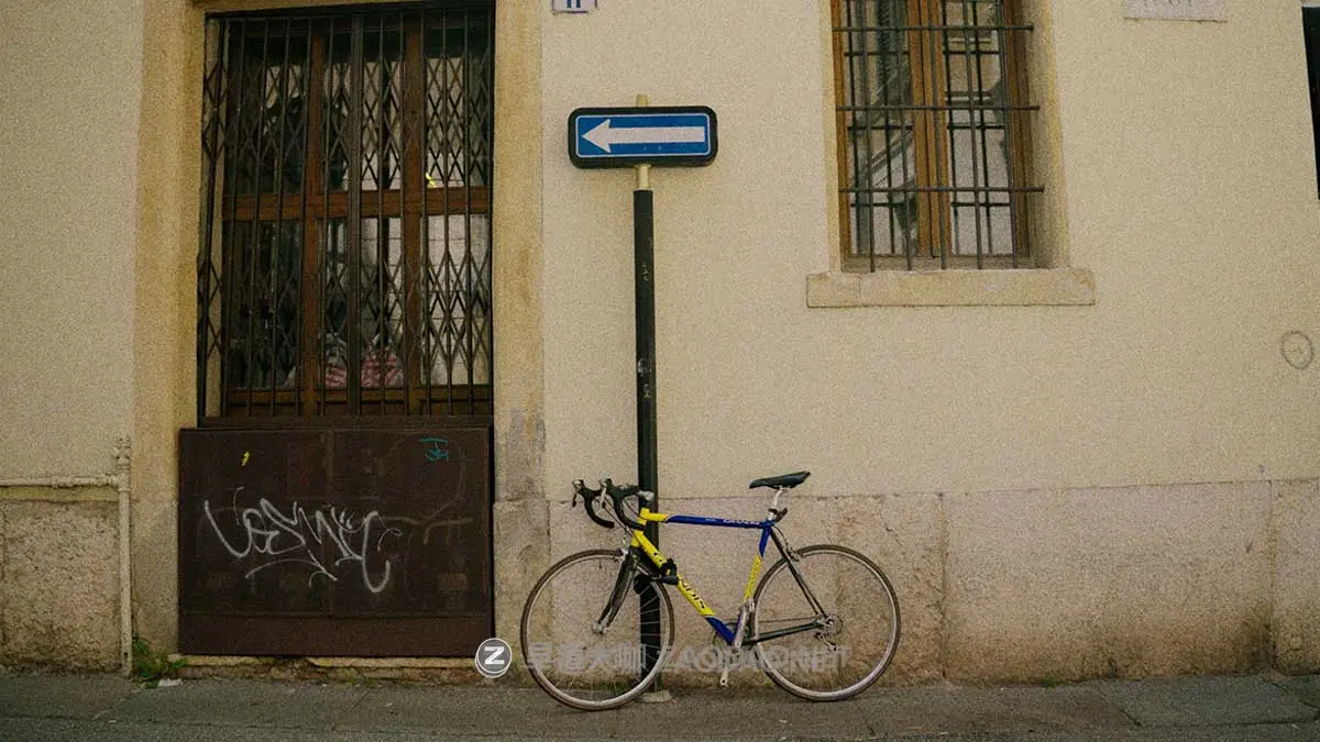 电影美学胶片颗粒模拟LOG/Rec709色彩还原调色LUT预设包 DAYLIGHT LUT PACK插图2 电影美学胶片颗粒模拟LOG/Rec709色彩还原调色LUT预设包 DAYLIGHT LUT PACK插图2