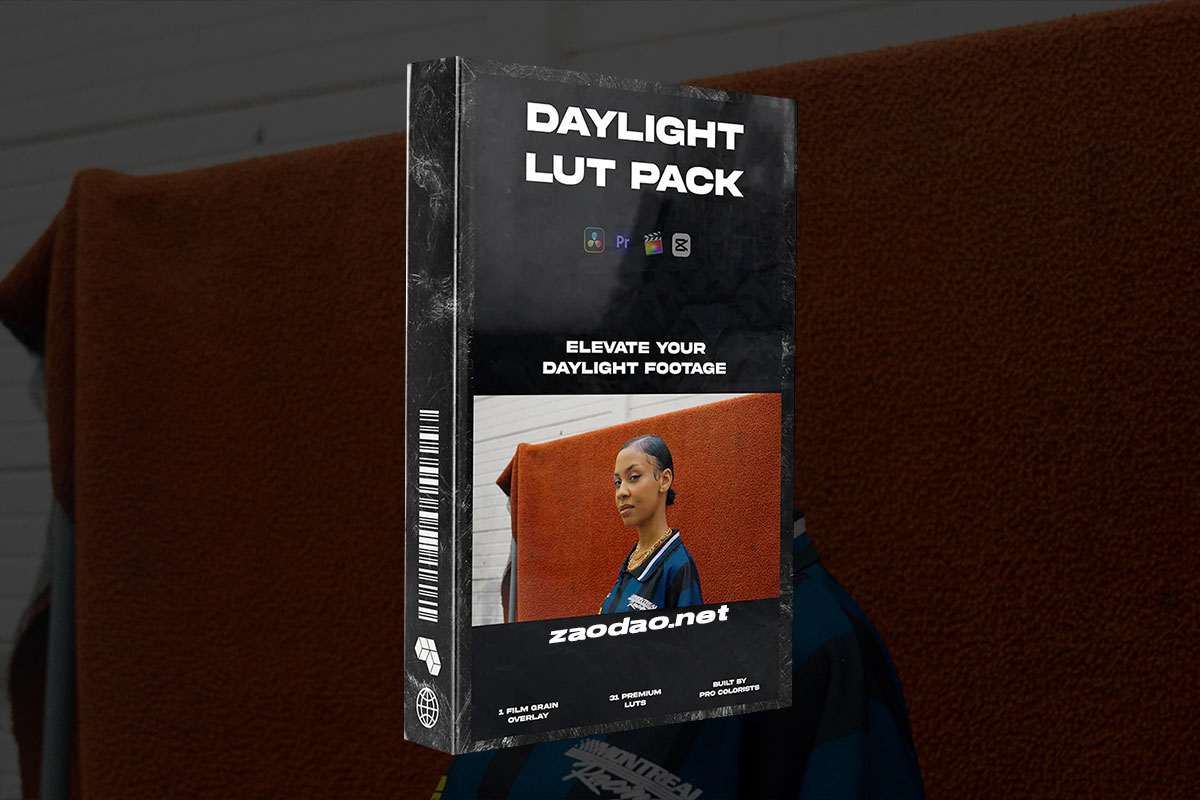 电影美学胶片颗粒模拟LOG/Rec709色彩还原调色LUT预设包 DAYLIGHT LUT PACK插图