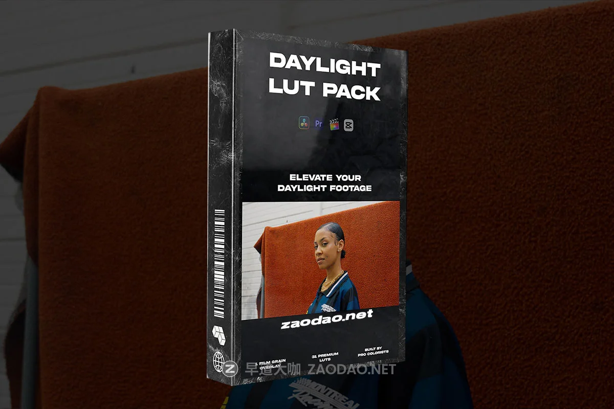 电影美学胶片颗粒模拟LOG/Rec709色彩还原调色LUT预设包 DAYLIGHT LUT PACK插图 电影美学胶片颗粒模拟LOG/Rec709色彩还原调色LUT预设包 DAYLIGHT LUT PACK插图