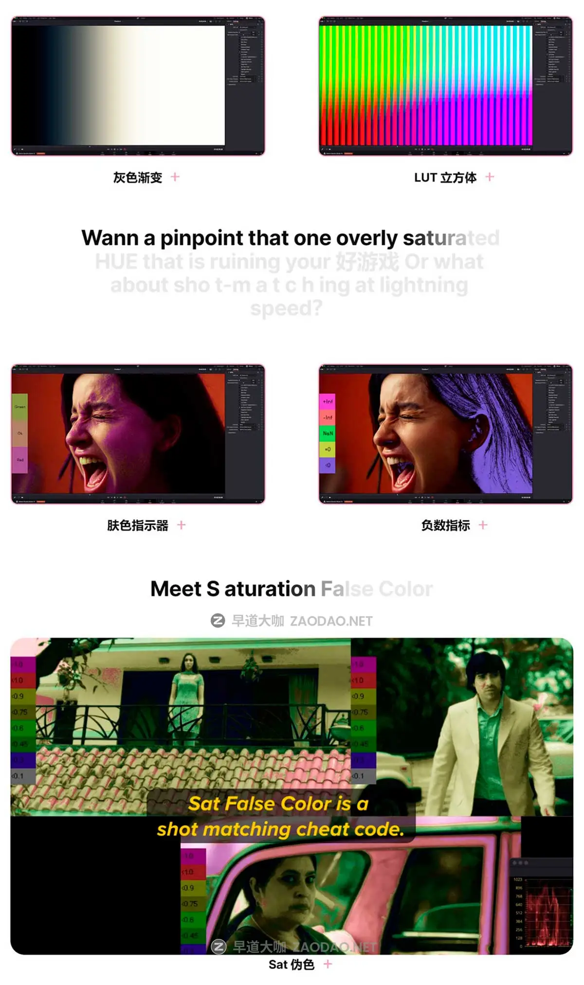 专业皮肤瑕疵色彩图表变色校正修复达芬奇DCTL插件 Qazi’s Toolkit – QT Charts插图3 专业皮肤瑕疵色彩图表变色校正修复达芬奇DCTL插件 Qazi’s Toolkit – QT Charts插图3