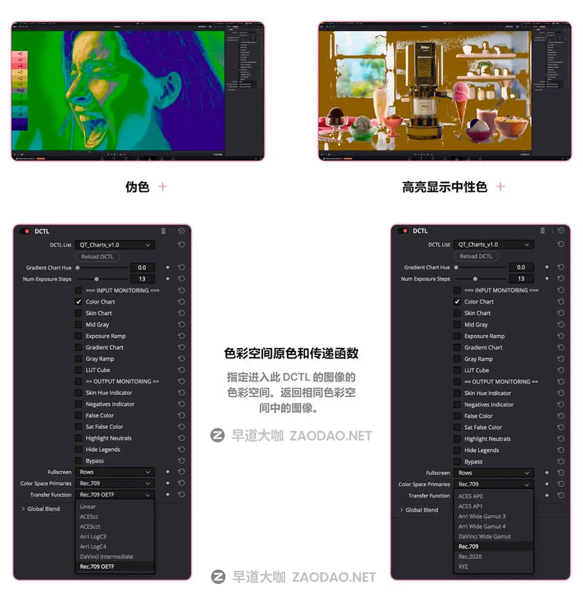 专业皮肤瑕疵色彩图表变色校正修复达芬奇DCTL插件 Qazi’s Toolkit – QT Charts插图4 专业皮肤瑕疵色彩图表变色校正修复达芬奇DCTL插件 Qazi’s Toolkit – QT Charts插图4