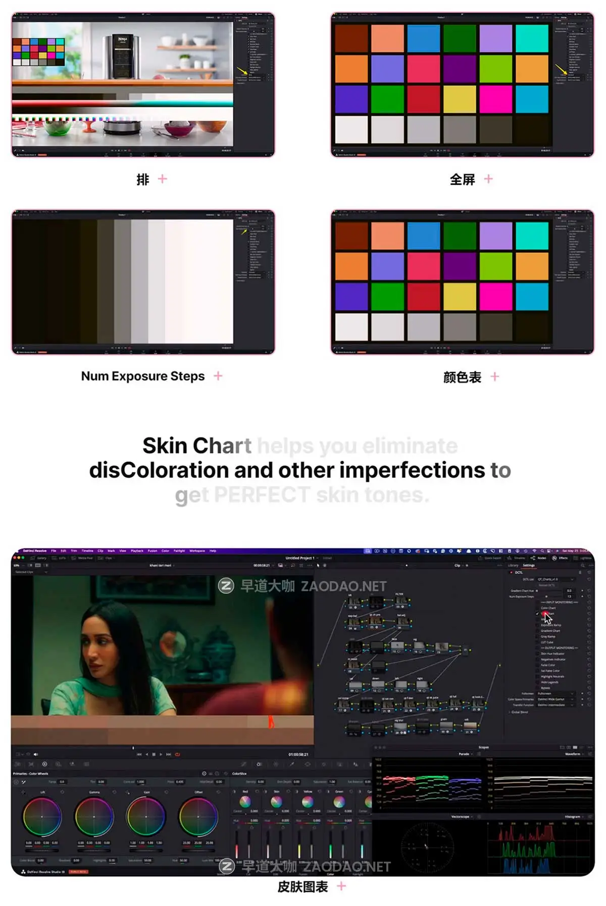 专业皮肤瑕疵色彩图表变色校正修复达芬奇DCTL插件 Qazi’s Toolkit – QT Charts插图1 专业皮肤瑕疵色彩图表变色校正修复达芬奇DCTL插件 Qazi’s Toolkit – QT Charts插图1