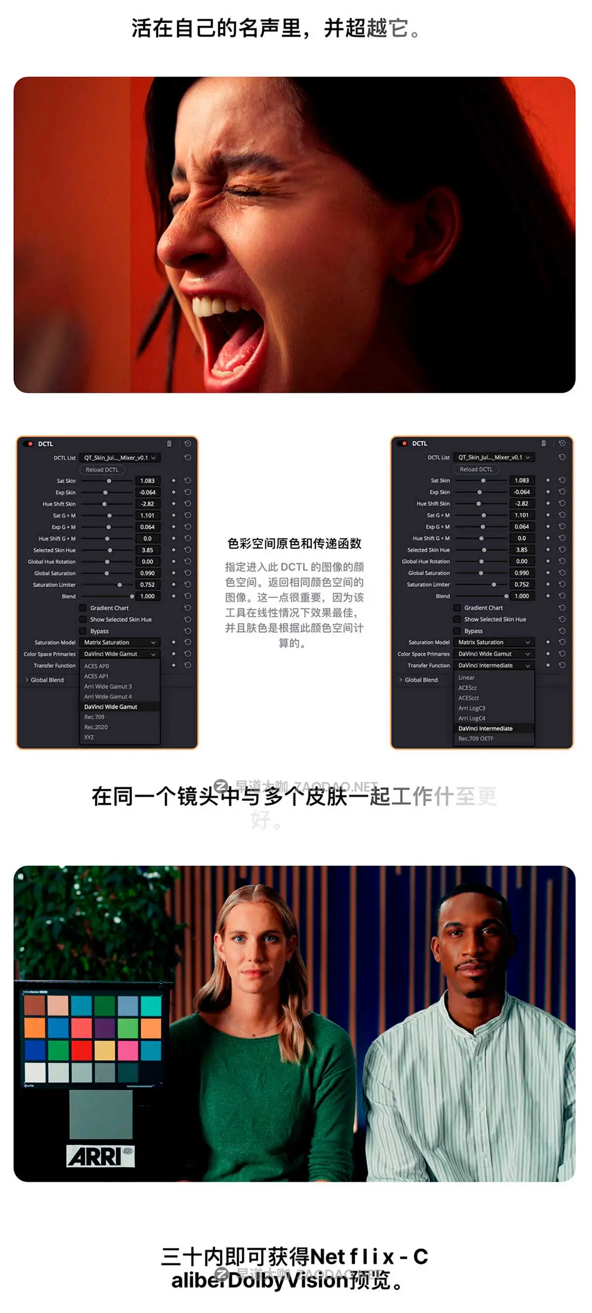 电影美学复古怀旧胶片Netflix级人像肤色调整润饰达芬奇调色DCTL插件 Qazi’s Toolkit – QT Skin Juice Mixer插图3 电影美学复古怀旧胶片Netflix级人像肤色调整润饰达芬奇调色DCTL插件 Qazi’s Toolkit – QT Skin Juice Mixer插图3