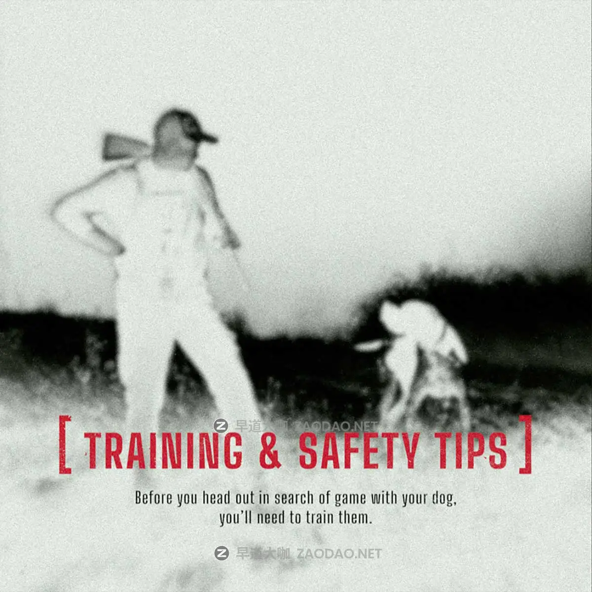 80+组户外探险极限运动Vlog视频转场运镜标题特效调色LUT工具包 MotionVFX – mSurvival插图12 80+组户外探险极限运动Vlog视频转场运镜标题特效调色LUT工具包 MotionVFX – mSurvival插图12