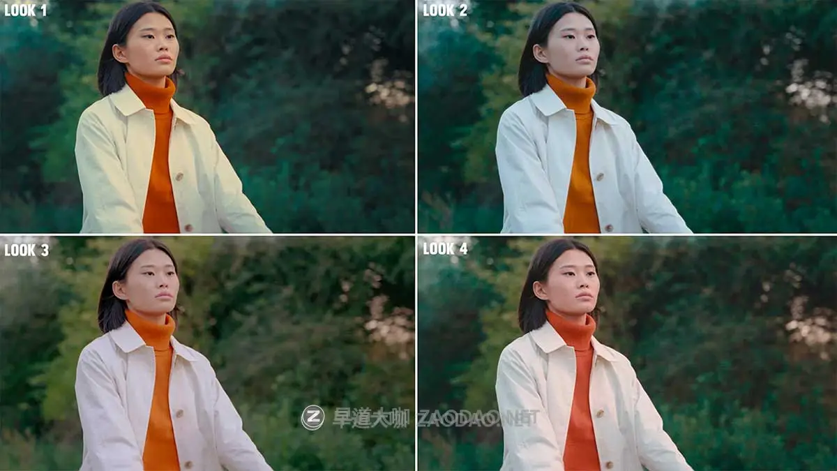 经典电影柯达胶片模拟怀旧视频色彩分级达芬奇调色PowerGrade节点+LUT预设 Cinematic PowerGrade – Kodak 5207 and 5219 Emulation插图10 经典电影柯达胶片模拟怀旧视频色彩分级达芬奇调色PowerGrade节点+LUT预设 Cinematic PowerGrade – Kodak 5207 and 5219 Emulation插图10