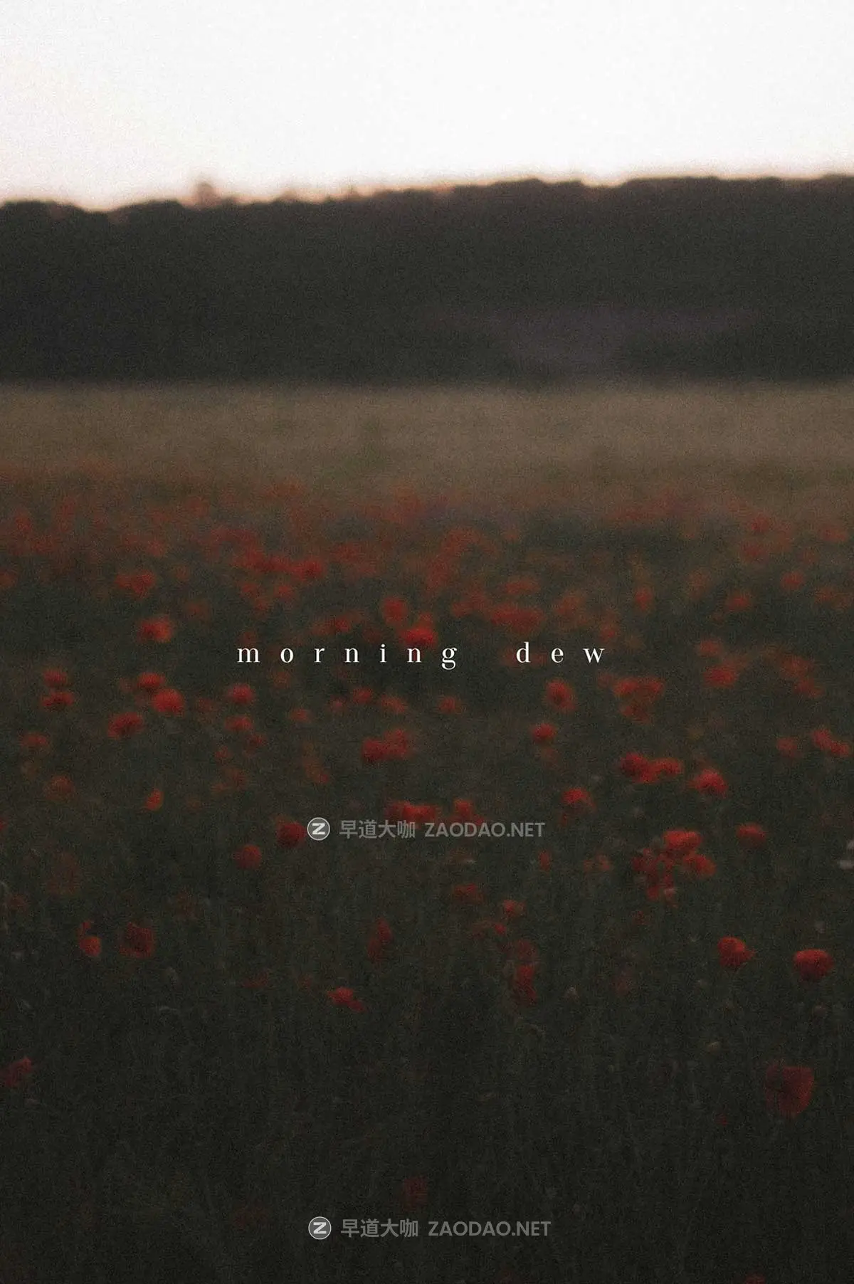 风格化复古电影胶片颗粒晕影纹理模拟肖像风景摄影照片调色LR预设 Tina Sosna – Calm & Quiet – Preset Package Lightroom Desktop/Mobile插图5 风格化复古电影胶片颗粒晕影纹理模拟肖像风景摄影照片调色LR预设 Tina Sosna – Calm & Quiet – Preset Package Lightroom Desktop/Mobile插图5