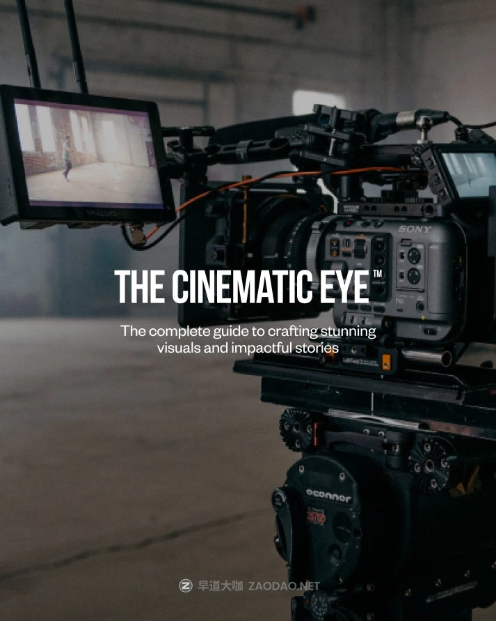 专业电影纪录片拍摄制作剪辑灯光摄影后期调色色彩分级视频教程 AOD – Art of Documentary – The Cinematic Eye插图 专业电影纪录片拍摄制作剪辑灯光摄影后期调色色彩分级视频教程 AOD – Art of Documentary – The Cinematic Eye插图