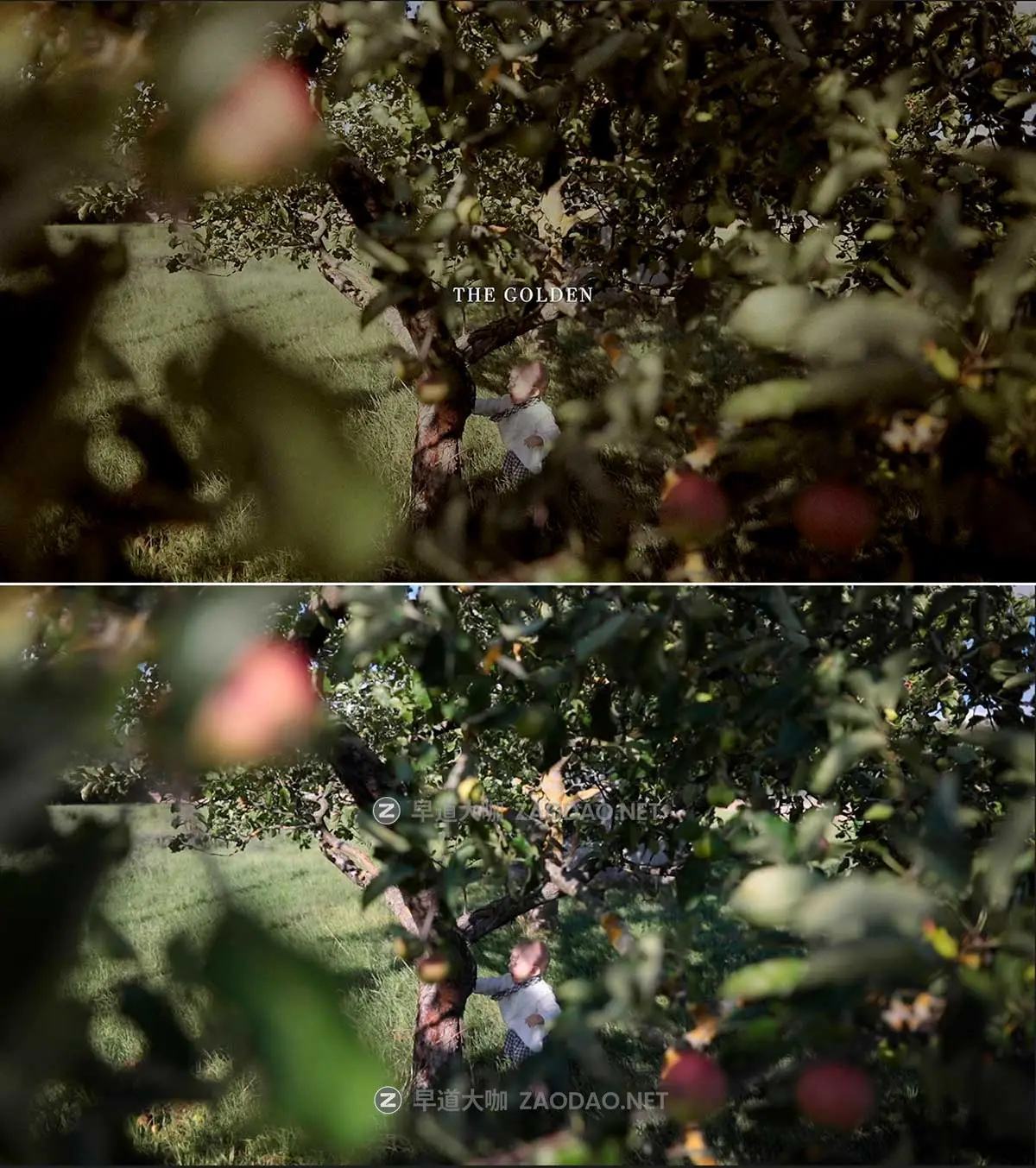 风格化复古电影胶片颗粒晕影纹理模拟肖像风景摄影照片调色LR预设 Tina Sosna – Calm & Quiet – Preset Package Lightroom Desktop/Mobile插图9 风格化复古电影胶片颗粒晕影纹理模拟肖像风景摄影照片调色LR预设 Tina Sosna – Calm & Quiet – Preset Package Lightroom Desktop/Mobile插图9