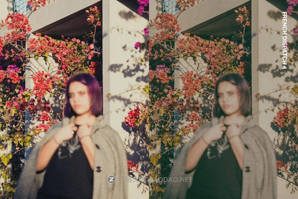 202501090fs87 202501090fs87
