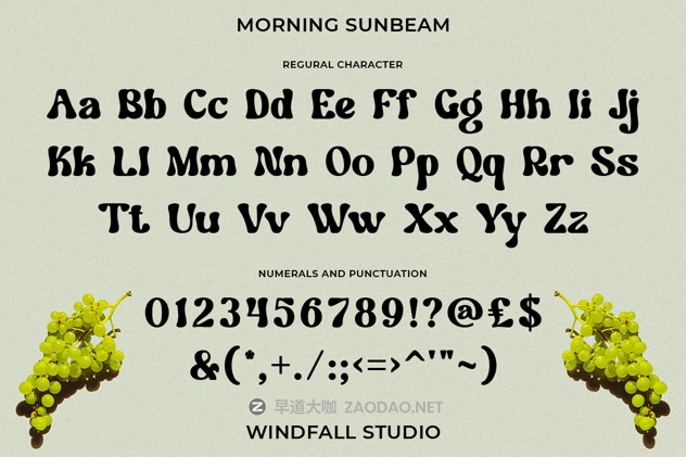 2025012364xv1 2025012364xv1