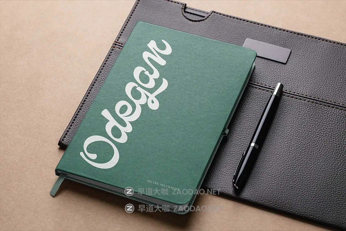 复古国外英伦徽标Logo海报杂志标题设计PSAI手写英文字体安装包 Qanproy Woldriug – Casual Script Font插图2 复古国外英伦徽标Logo海报杂志标题设计PSAI手写英文字体安装包 Qanproy Woldriug – Casual Script Font插图2