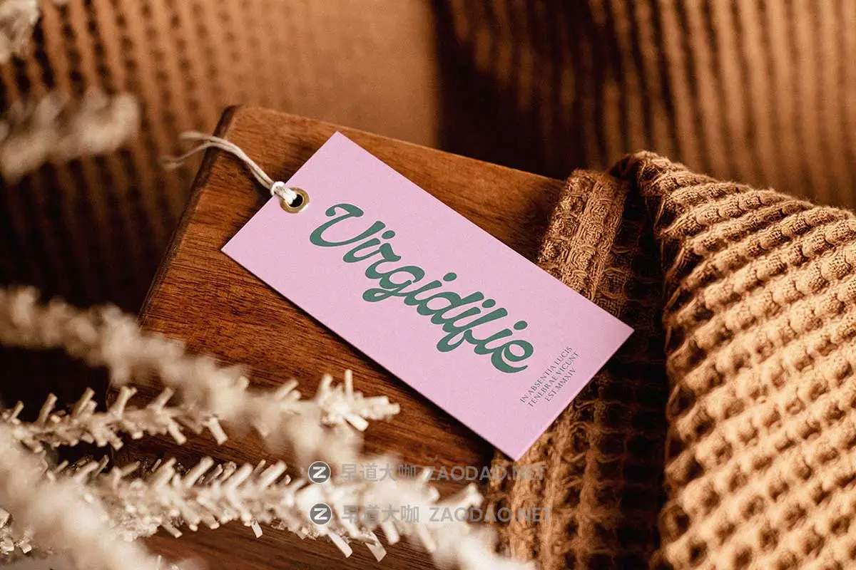 复古国外英伦徽标Logo海报杂志标题设计PSAI手写英文字体安装包 Qanproy Woldriug – Casual Script Font插图3 复古国外英伦徽标Logo海报杂志标题设计PSAI手写英文字体安装包 Qanproy Woldriug – Casual Script Font插图3