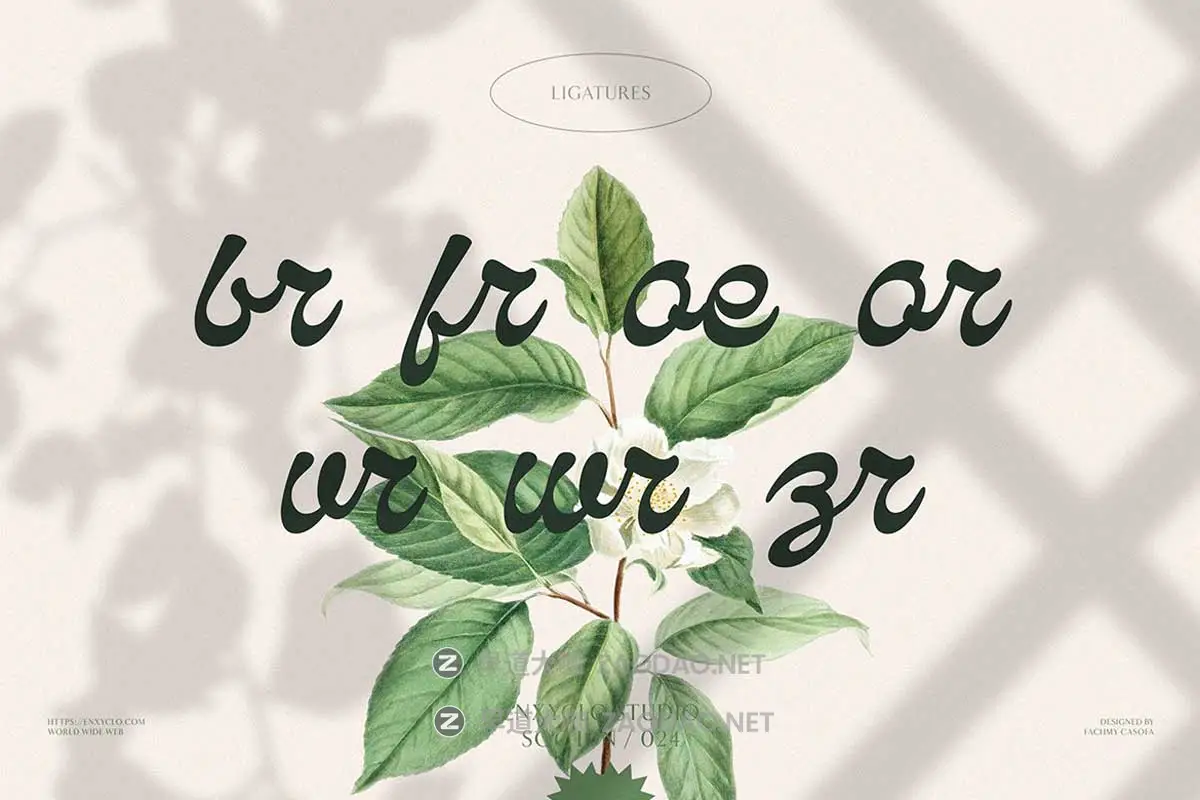 复古国外英伦徽标Logo海报杂志标题设计PSAI手写英文字体安装包 Qanproy Woldriug – Casual Script Font插图13 复古国外英伦徽标Logo海报杂志标题设计PSAI手写英文字体安装包 Qanproy Woldriug – Casual Script Font插图13