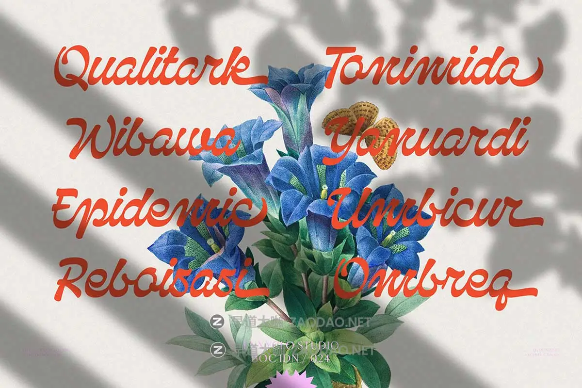 复古国外英伦徽标Logo海报杂志标题设计PSAI手写英文字体安装包 Qanproy Woldriug – Casual Script Font插图16 复古国外英伦徽标Logo海报杂志标题设计PSAI手写英文字体安装包 Qanproy Woldriug – Casual Script Font插图16