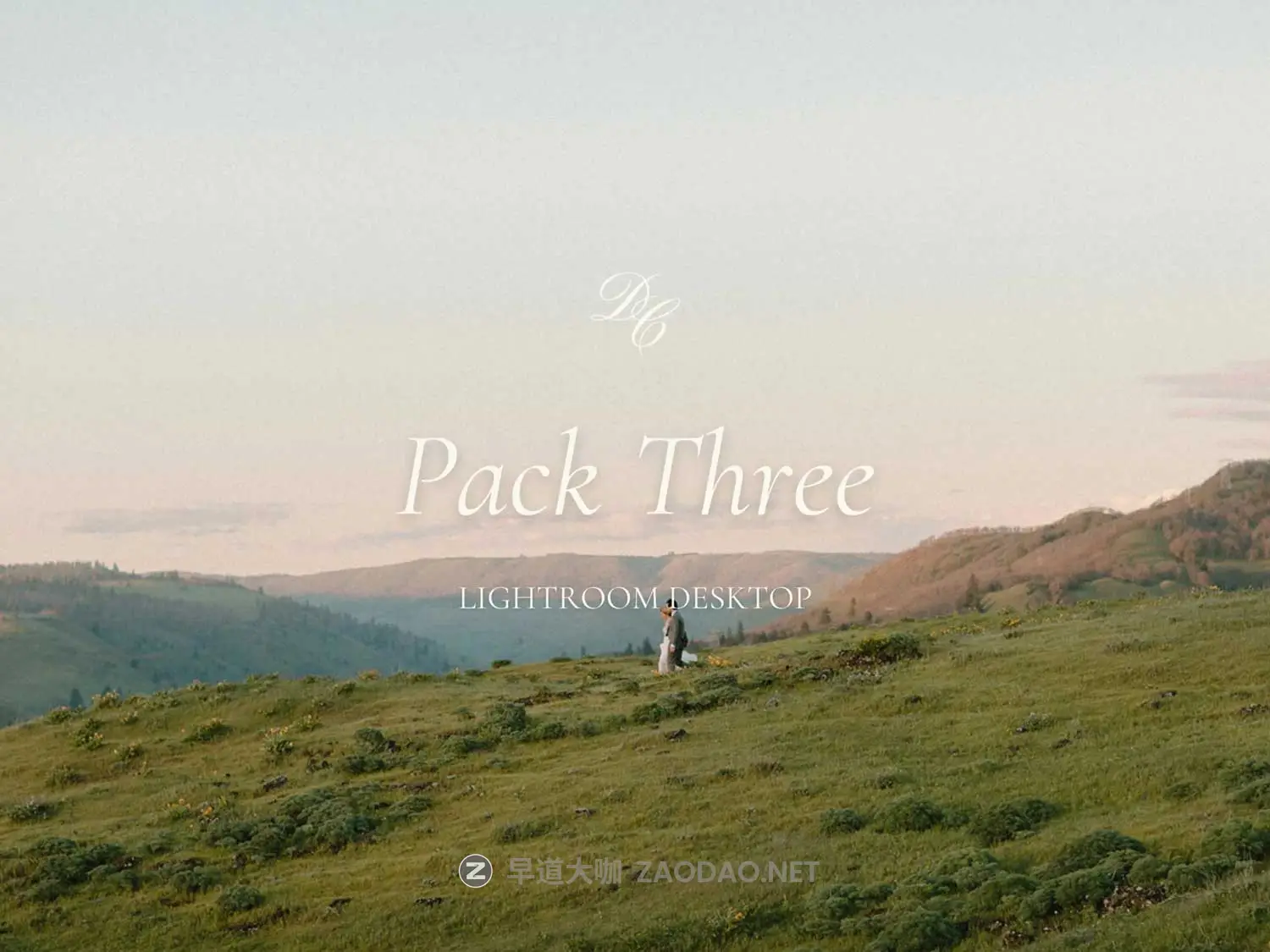 永恒温暖金色绿色黑白户外婚礼情侣摄影照片调色Lightroom预设Dawn Charles – DC Pack 3 Updated Version插图 永恒温暖金色绿色黑白户外婚礼情侣摄影照片调色Lightroom预设Dawn Charles – DC Pack 3 Updated Version插图