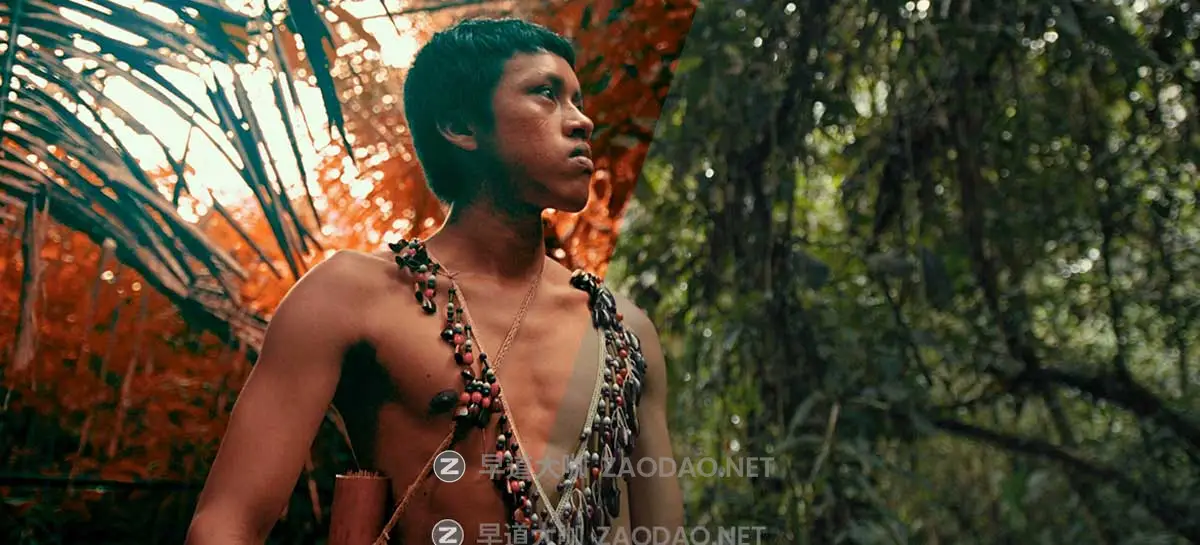 23组专业电影质感黑魔法相机旅拍人文Vlog短视频调色Lut预设Pixflow – CL-BlackMagic Lut Pack插图6 23组专业电影质感黑魔法相机旅拍人文Vlog短视频调色Lut预设Pixflow – CL-BlackMagic Lut Pack插图6