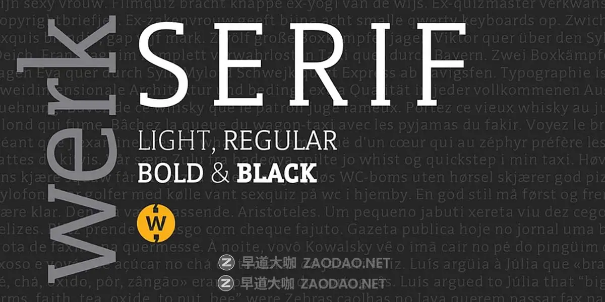 时尚潮流品牌LOGO标牌指示牌杂志海报标题设计无衬线英文字体安装包PSAIWerkSerif font family插图1 时尚潮流品牌LOGO标牌指示牌杂志海报标题设计无衬线英文字体安装包PSAIWerkSerif font family插图1