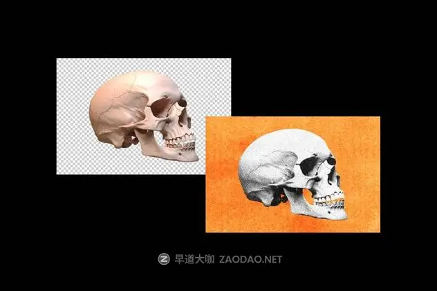 20250207s4jks 20250207s4jks
