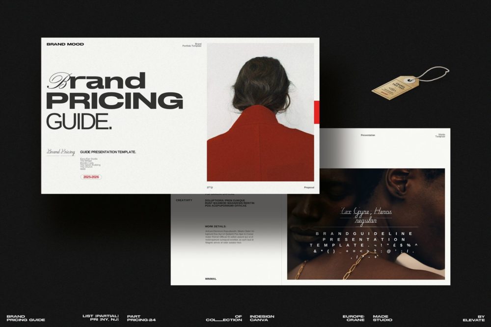 时尚简约企业营销策划演示文稿设计ppt模版 Brand Pricing Guide Presentation插图