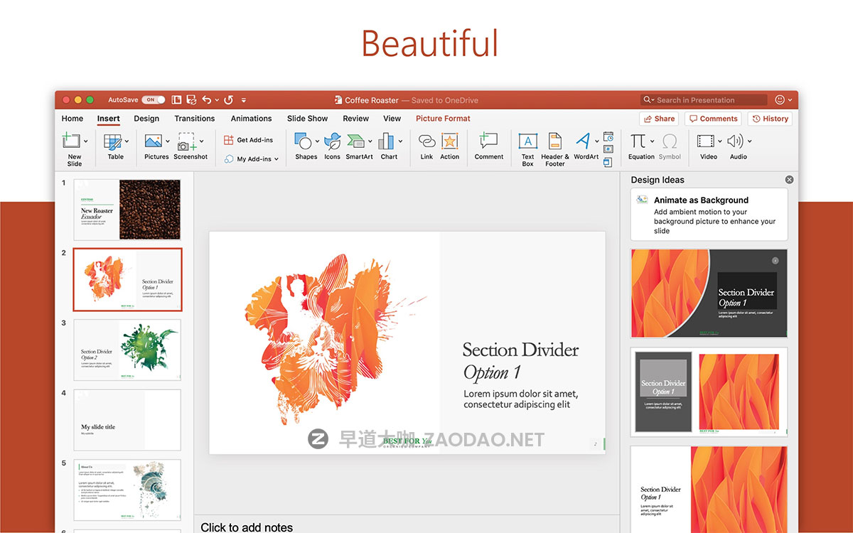 Microsoft Office 2024最强大办公工具软件 Mac版本 Microsoft Office 2024 for Mac LTSC 16.92插图