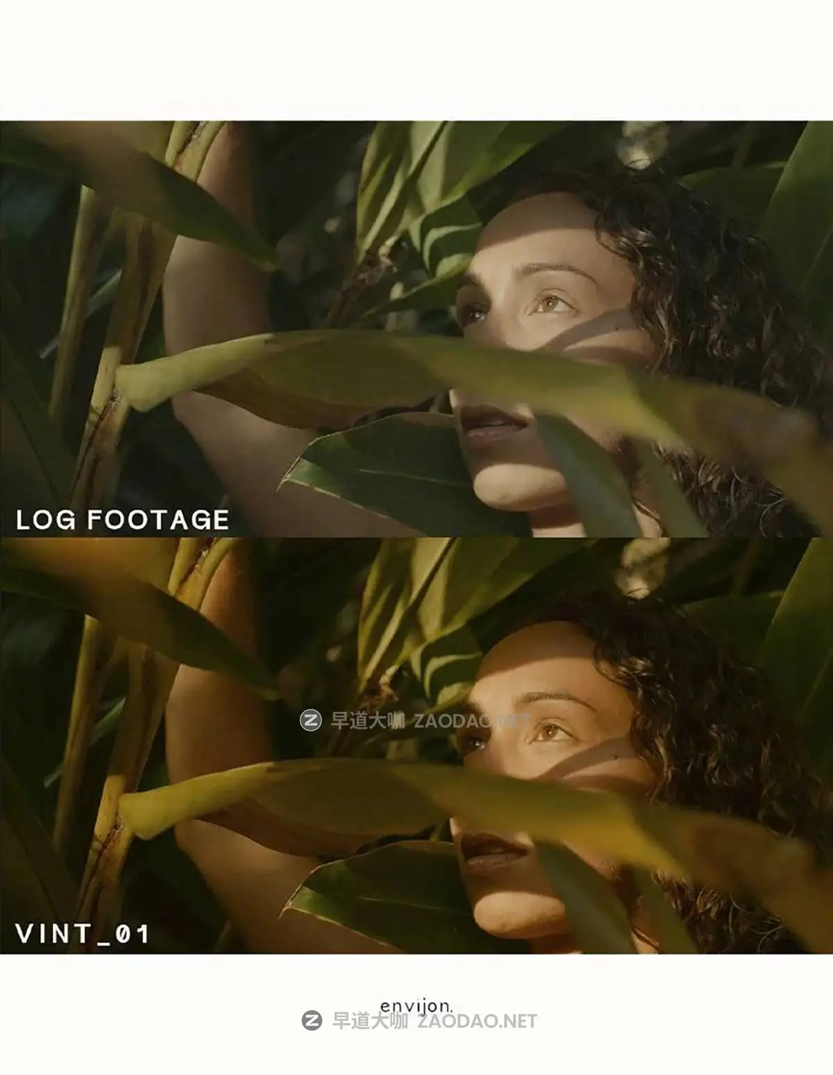 怀旧电影美学燥点颗粒REC709&LOG视频色彩分级还原调色LUT预设包envijon – Vintage Video LUTs插图4 怀旧电影美学燥点颗粒REC709&LOG视频色彩分级还原调色LUT预设包envijon – Vintage Video LUTs插图4