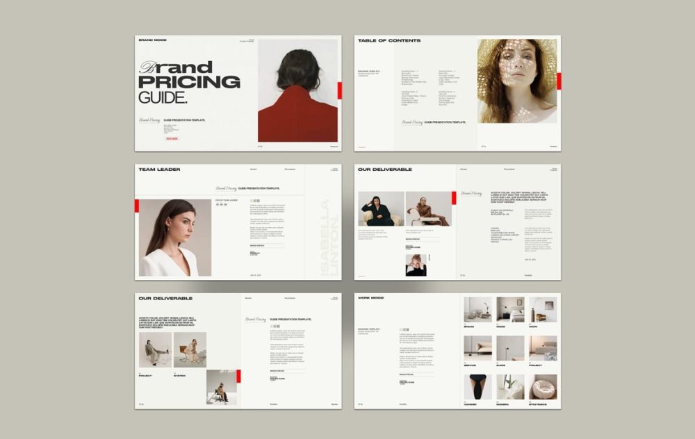 时尚简约企业营销策划演示文稿设计ppt模版 Brand Pricing Guide Presentation插图7