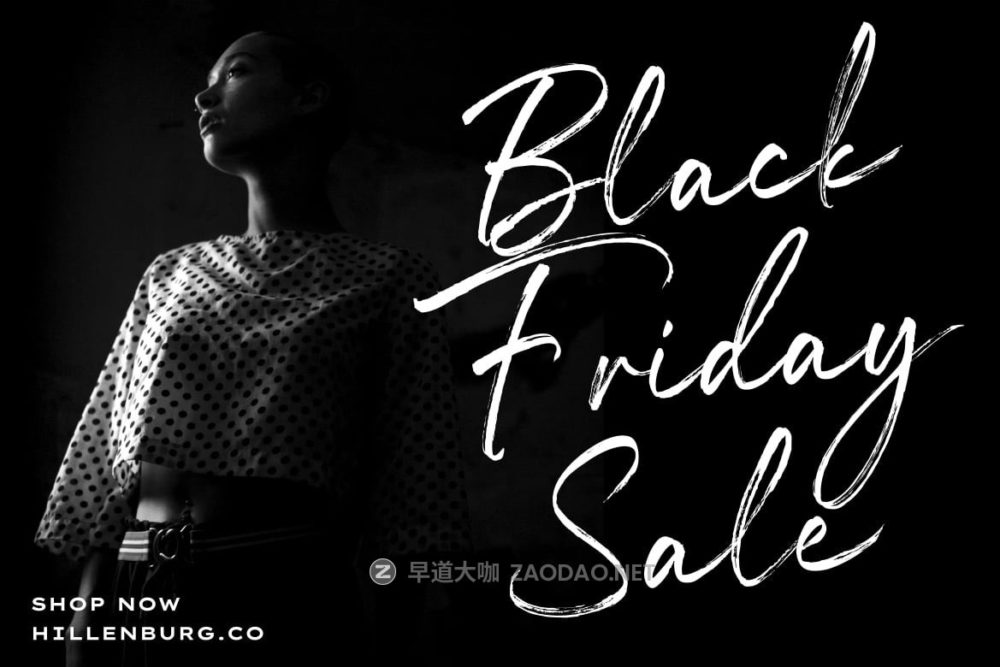 时尚海报传单品牌服装设计手写英文字体安装包 Rossane – Dry Brush Script Font插图1