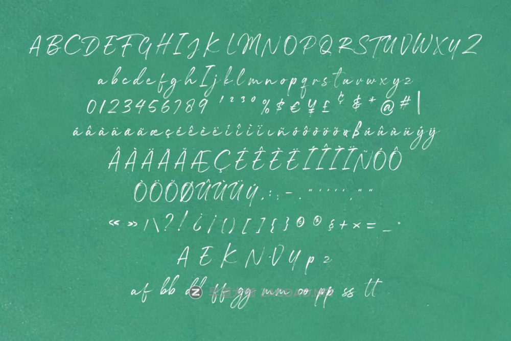 时尚海报传单品牌服装设计手写英文字体安装包 Rossane – Dry Brush Script Font插图3