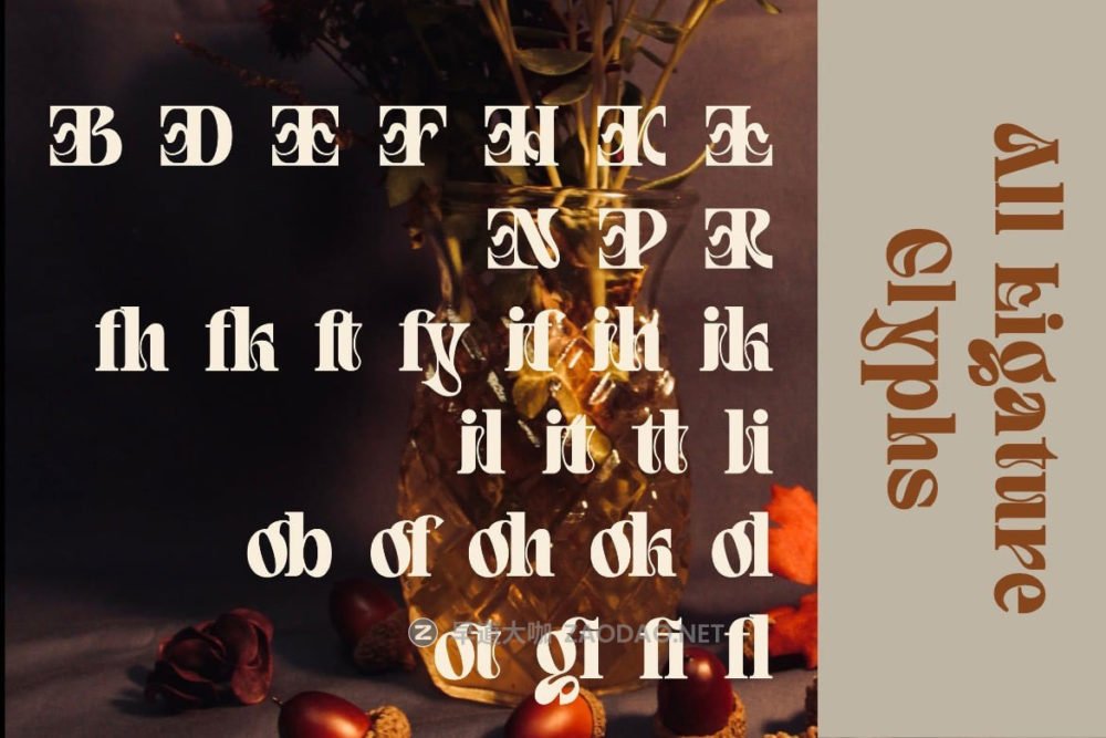 现代优雅杂志海报包装徽标设计衬线英文字体安装包 Quivert – Serif Display Font插图4