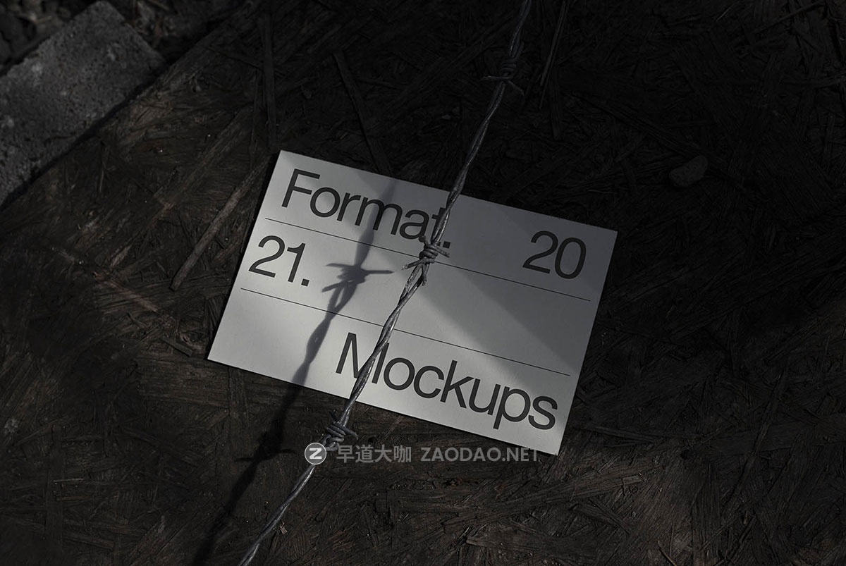 6款国外小众画册海报广告牌名片iPad平板报纸VI展示贴图PSD样机模板 Format Mockup – Branding Mockup Collection 05插图4
