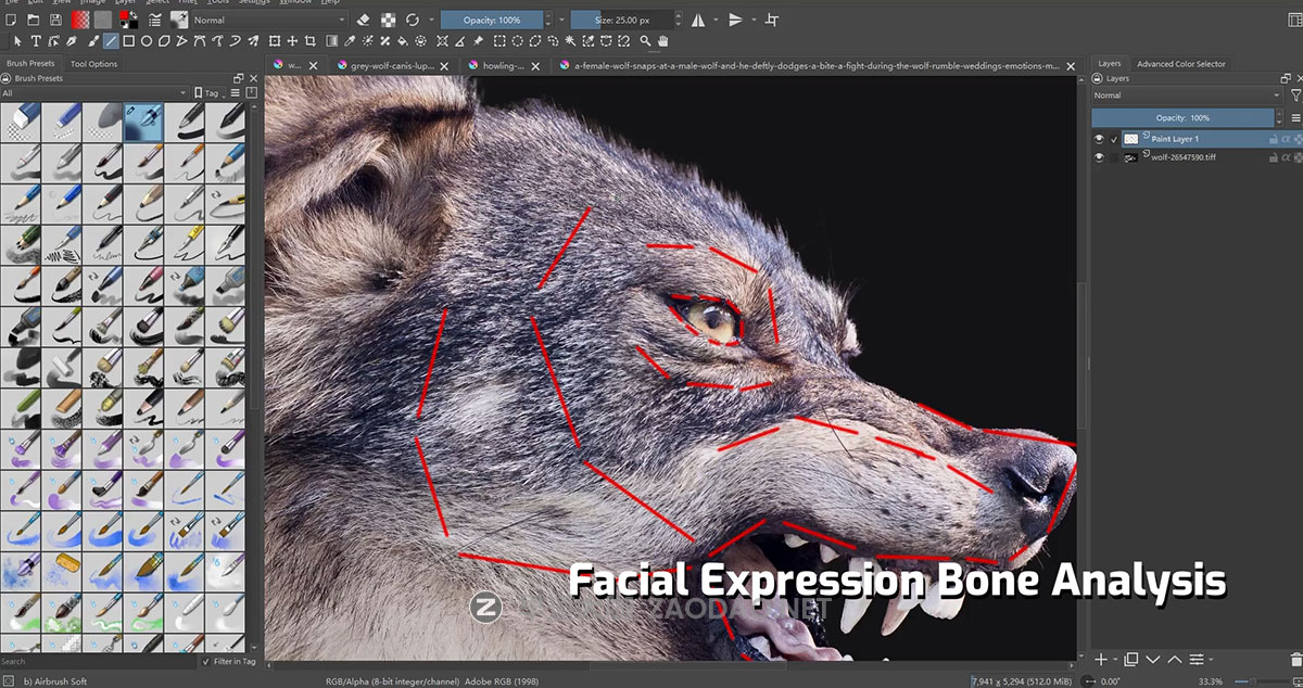 Vfx Grace Animal Creature Rigging Blender生物骨骼绑定行走动画视频教程 中英文字幕插图9