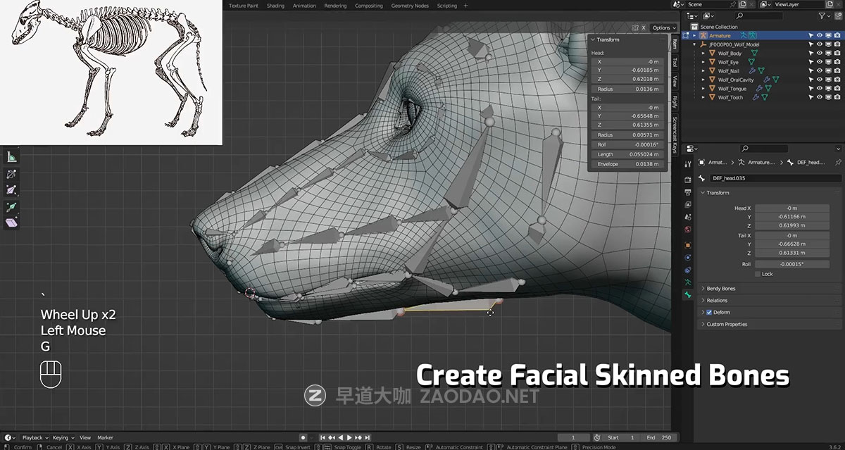 Vfx Grace Animal Creature Rigging Blender生物骨骼绑定行走动画视频教程 中英文字幕插图8
