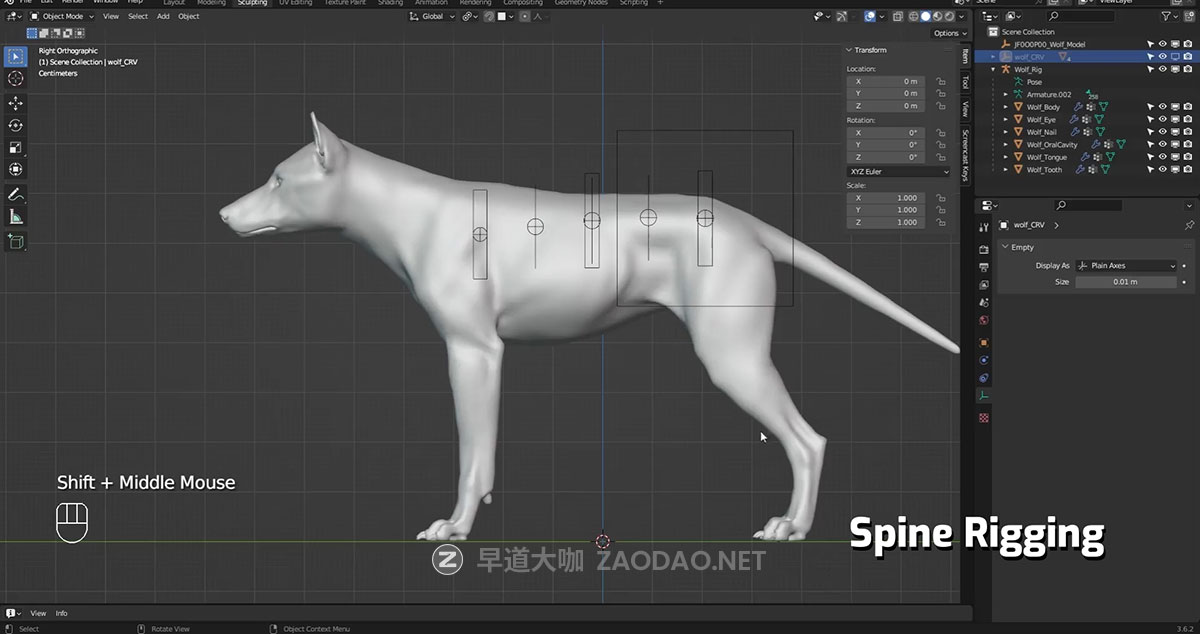 Vfx Grace Animal Creature Rigging Blender生物骨骼绑定行走动画视频教程 中英文字幕插图7