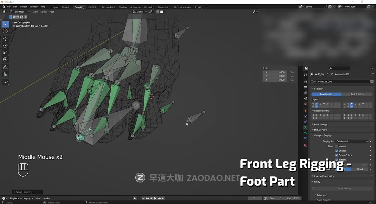 Vfx Grace Animal Creature Rigging Blender生物骨骼绑定行走动画视频教程 中英文字幕插图6